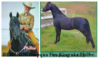 REWARD!!  Umpqua Fire King aka Philbe. 